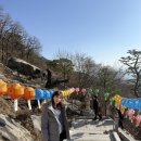 절뒤길(풍산읍) | 강화도 석모도 절 소원이 이뤄지는 보문사 방문 팁과 마애불 소원 계단 후기