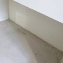 스페스큐브 이미지