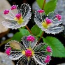 6월 30일 월요일 간추린 뉴스와 날씨 이미지