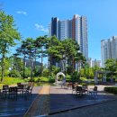 옥부동산공인중개사사무소 이미지