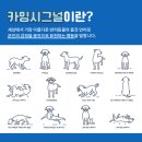 시그널동물병원 이미지