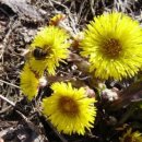 버들목장 2 이미지