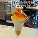 신주쿠 디저트 맛집 | 생망고 가득한 타카노 존맛 망고파르페 후기