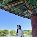 충남 부여 궁남지 연꽃축제 시기, 주차장, 입장료, 서동공원 부여여행 가볼만한곳 추천