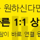 용진 태양광발전소 이미지
