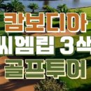 오렌지골프투어