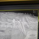 도그앤피플 동물병원 이미지