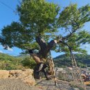 느티나무마을 이미지