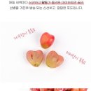 김양수농장 이미지