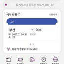 여수 혼자 여행 뚜벅이 맛집 추천 여행 코스 (조선제일국밥/오동도/봄나리베이커리/서울해장국)