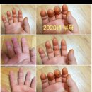 명품플러스