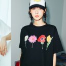 미스터팡팡