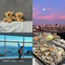 르씨엘 | 1월 달랏 일상부터 한국 입국까지 | 나트랑 공항 반미 솔직후기, 시흥 맛집