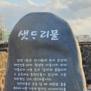 샛도리물 이미지