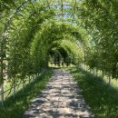 금남체육공원 이미지