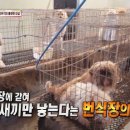 안재환 농장 네이버블로그