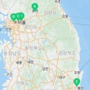 크로커다일삼패점