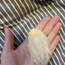 홀리몰리 이미지