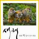 지티엘커뮤니케이션주 이미지