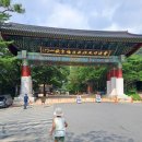 강원도 속초 권금성 설악케이블카 주말 이용꿀팁, 예약, 주차