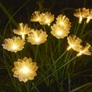 신성무역 이미지