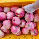 해인농장 이미지