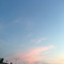 609청년덮밥 이미지
