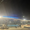 박헤어씨피 | 여행] 0-2. 나트랑 0.5박 가성비 숙소 추천 - 르모어 호텔 후기 (공항 픽업, 조식, 짐보관,위치) 4성급