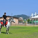 창선생활체육공원2 이미지