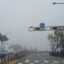 합강농장 네이버블로그