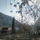 남원산림조합사업소 - 2828 | 남원산림조합사업소