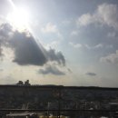 (주)루시카토 이미지