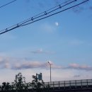 Daily Story (23.7.29)