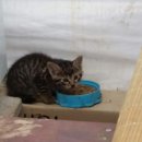 해마루농장 이미지