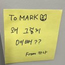 건강드림신정약국 | 나는 시즈니🌱지금까지 다녀온 NCT 콘서트 총정┊2025년편1️⃣