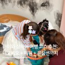 네오바이오(주) | 추천: 2일차] 네오비오 키즈카페 예원점 &amp; 남상 만두 미슐랭 맛집 &amp; 예원 정원 &amp; 황푸강 유람선 야경 후기