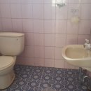 하양적벽돌 이미지