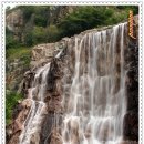 도심의 쉼터 이미지