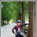 곡성-136 이미지