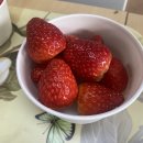 포차리아