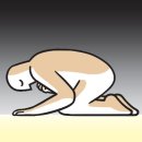 겨자씨 이미지