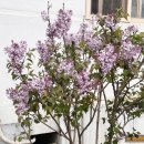 능안2리 경로당 이미지