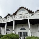 멍멍아 여기어때 이미지