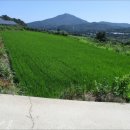 낙동면 비룡리 이미지