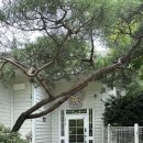 레티피코 이미지