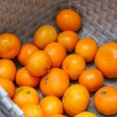 하율농장 이미지