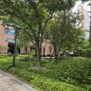 지웰시티공인중개사사무소 | 지웰시티2차부동산 지웰시티공인중개사사무소와 함께하는 복대동 부동산 체험기