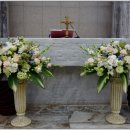 분당요한성당 이미지