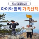 안심산 둘레길 | 여수 둘레길 코스 추천 아이와 함께 안심산 가족 산책로 후기