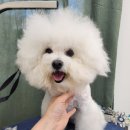 몽몽미용실 이미지